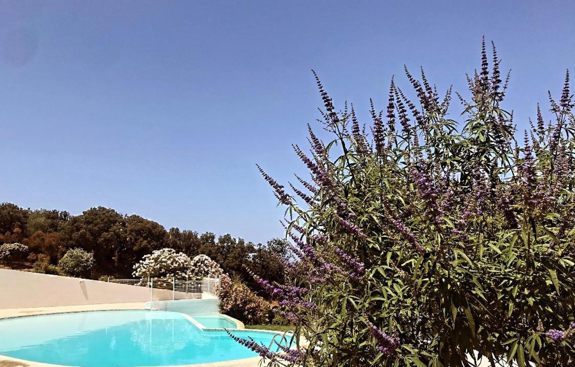 Le Cocon Bord De Mer Belgodere  Exterior photo